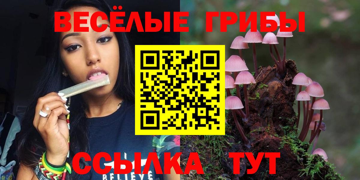 Галлюциногенные грибы Magic Shrooms Ивантеевка