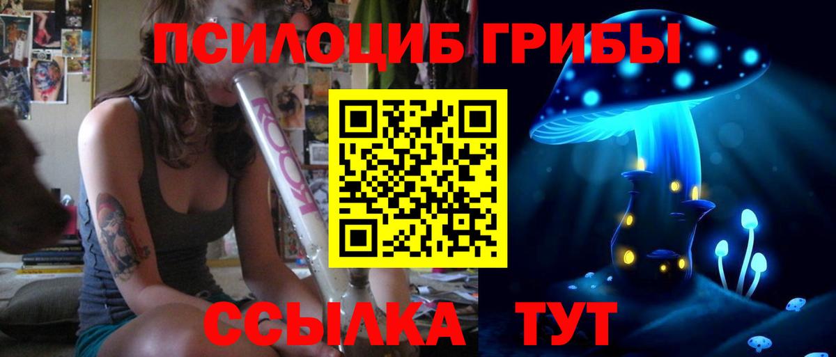 Ивантеевка  Галлюциногенные грибы Psilocybine cubensis  Вход с VPN 